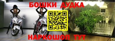 прущие грибы Свободный