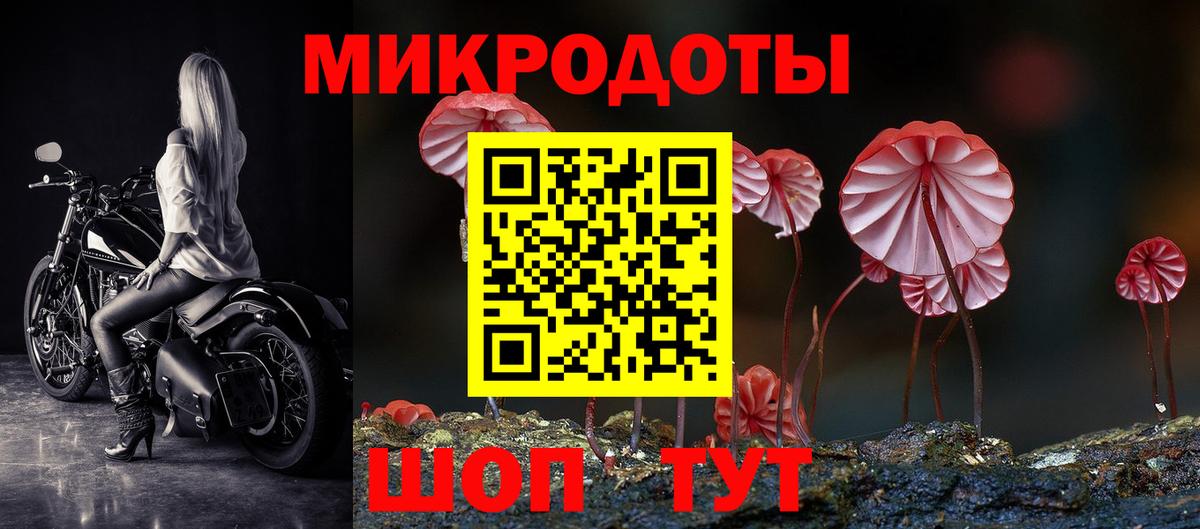 Псилоцибиновые грибы GOLDEN TEACHER Менделеевск