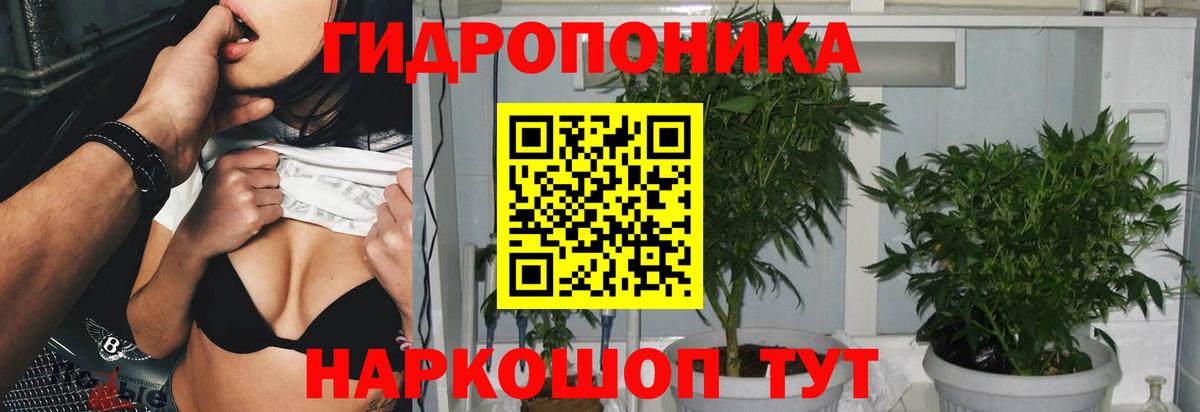 Конопля план  Конопля LSD WEED  Менделеевск  Марихуана марихуана  Вход с VPN 